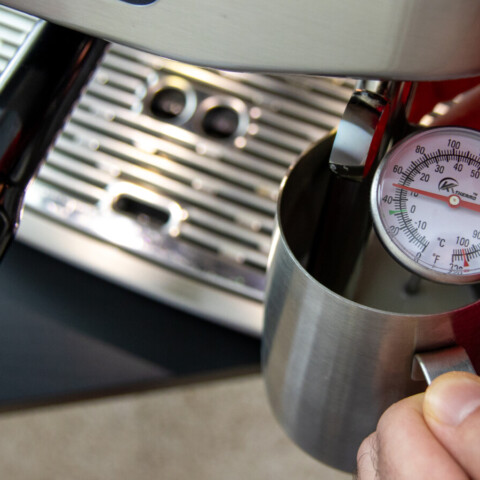 This EUR 9 Thermometer Fixed My Latte Art at Home