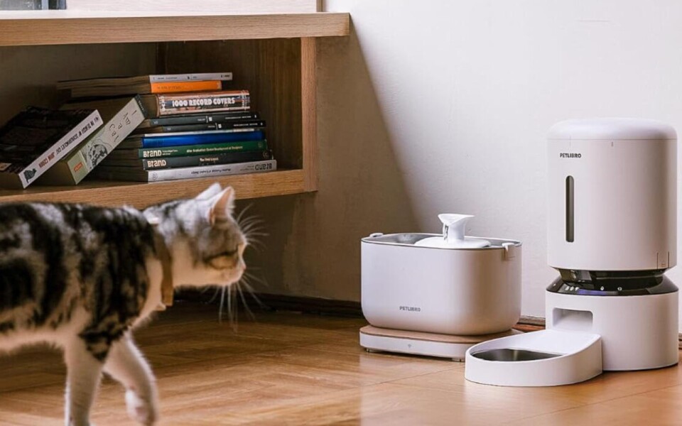 Petlibro Outage Leaves Some Pet Feeders Inoperable