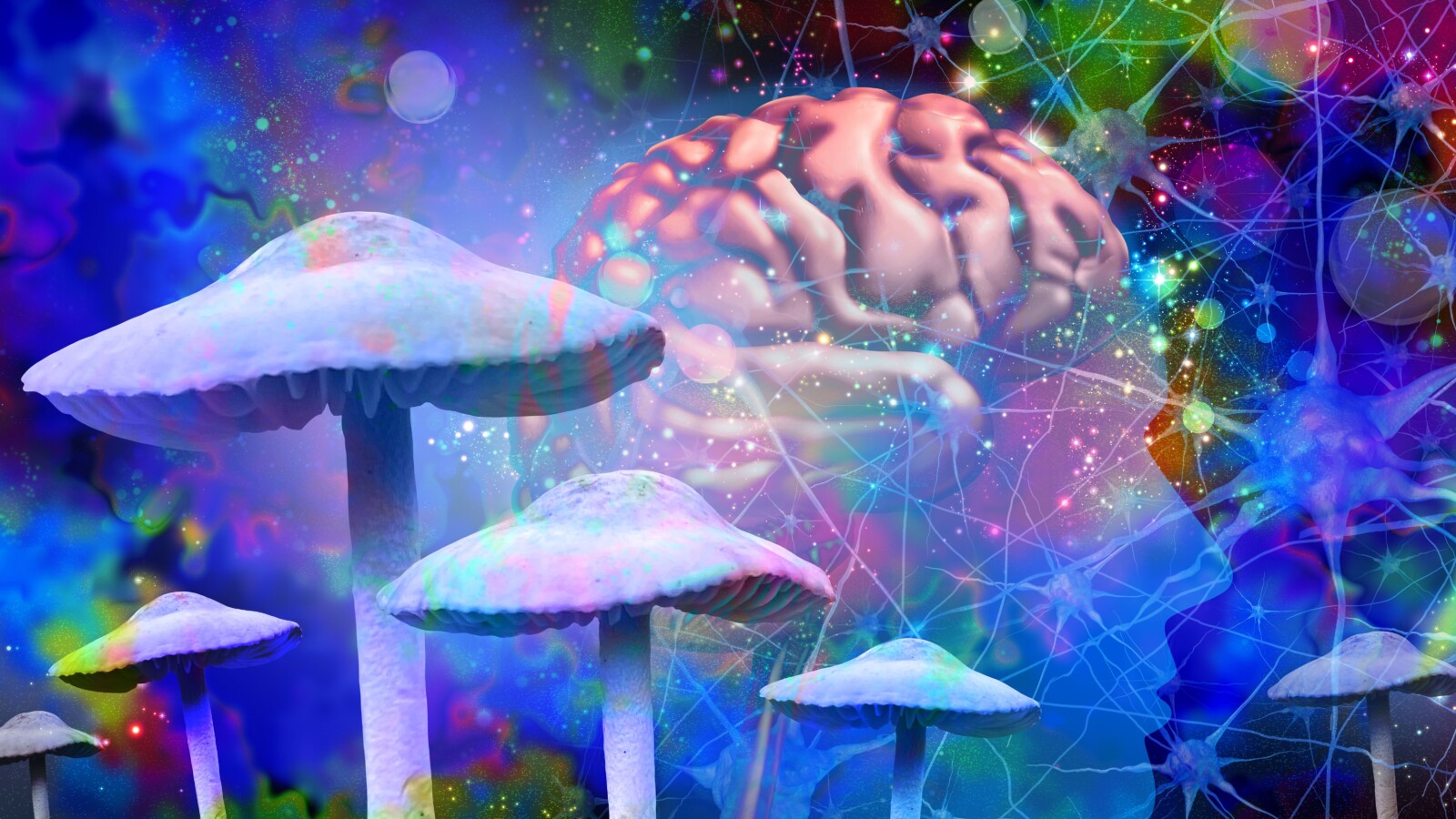 Psilocybin May Sharpen How the Brain Lives in the Moment