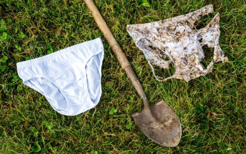 Buried Underpants Reveal Soil Health in 25 Countries