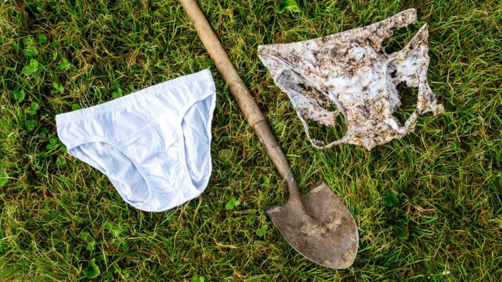 Buried Underpants Reveal Soil Health in 25 Countries - soil health experiment
