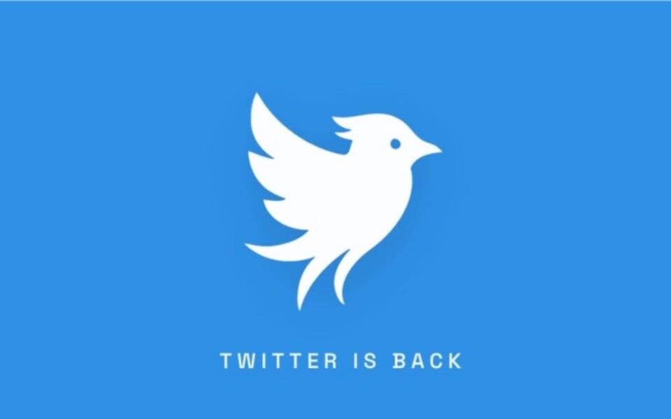 Operation Bluebird Revives Twitter Name, Says X Abandoned It
