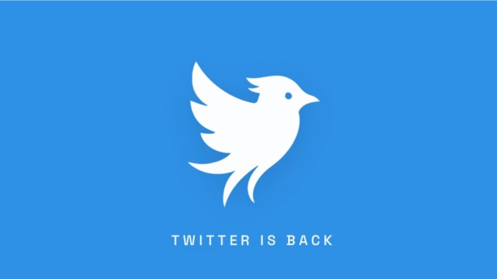 Operation Bluebird Revives Twitter Name, Says X Abandoned It - Twitter name revival