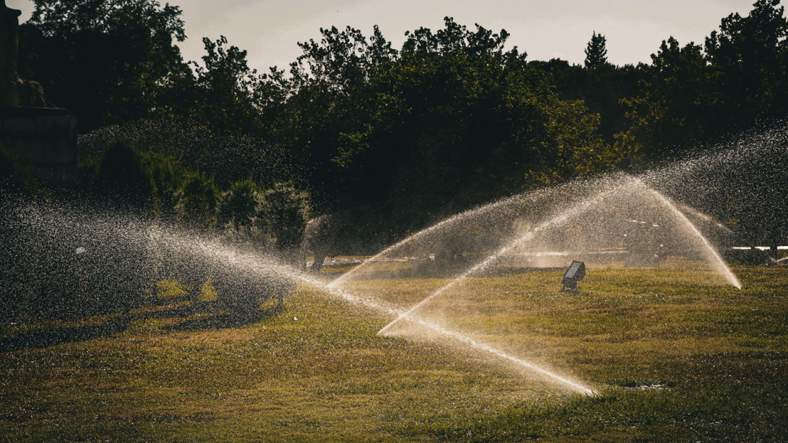 Denver Data Center Waters Lawn Amid Drought Rules