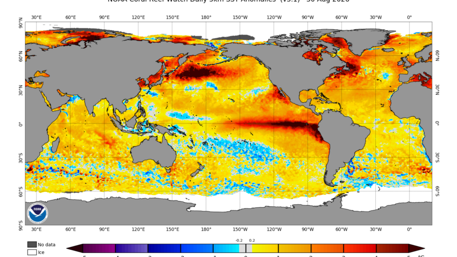 El Niño Now Stronger Than Any Point in 1,000 Years, Corals Show - El Niño intensity