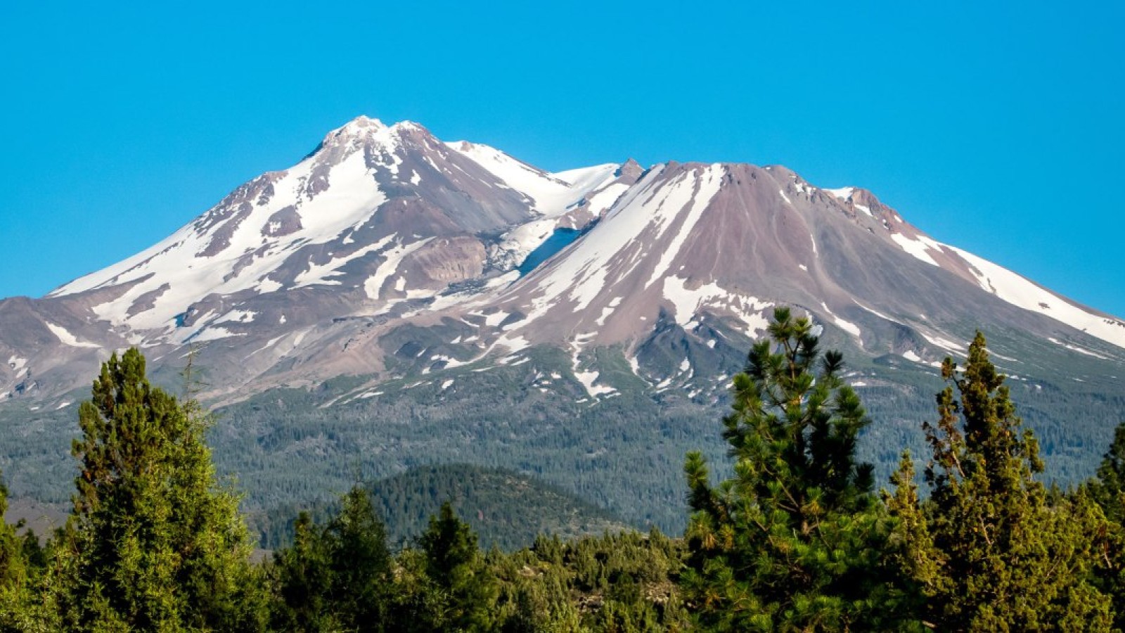 Google Gemini Blamed in California Hiker Rescue on Shasta