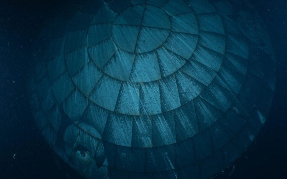 Orion Heat Shield Beats Expectations on Artemis II Reentry