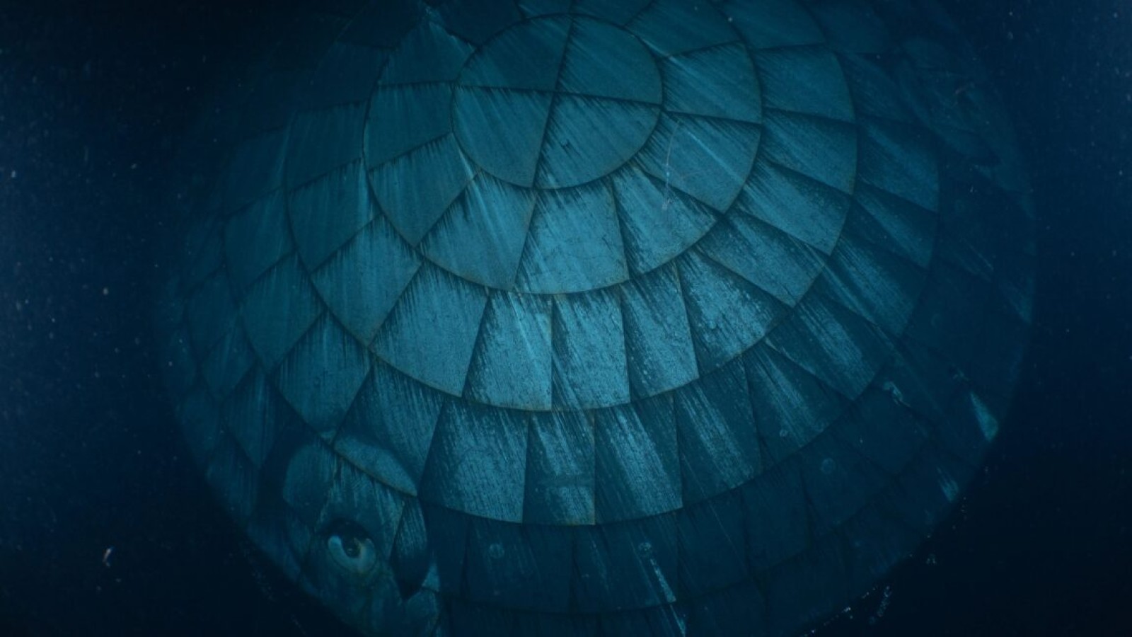Orion Heat Shield Beats Expectations on Artemis II Reentry