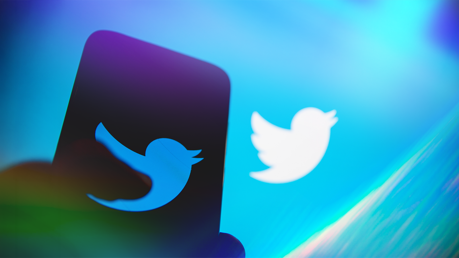 X Ordered to Release 'Bird' Trademark, Keeps Twitter Name - Twitter trademark